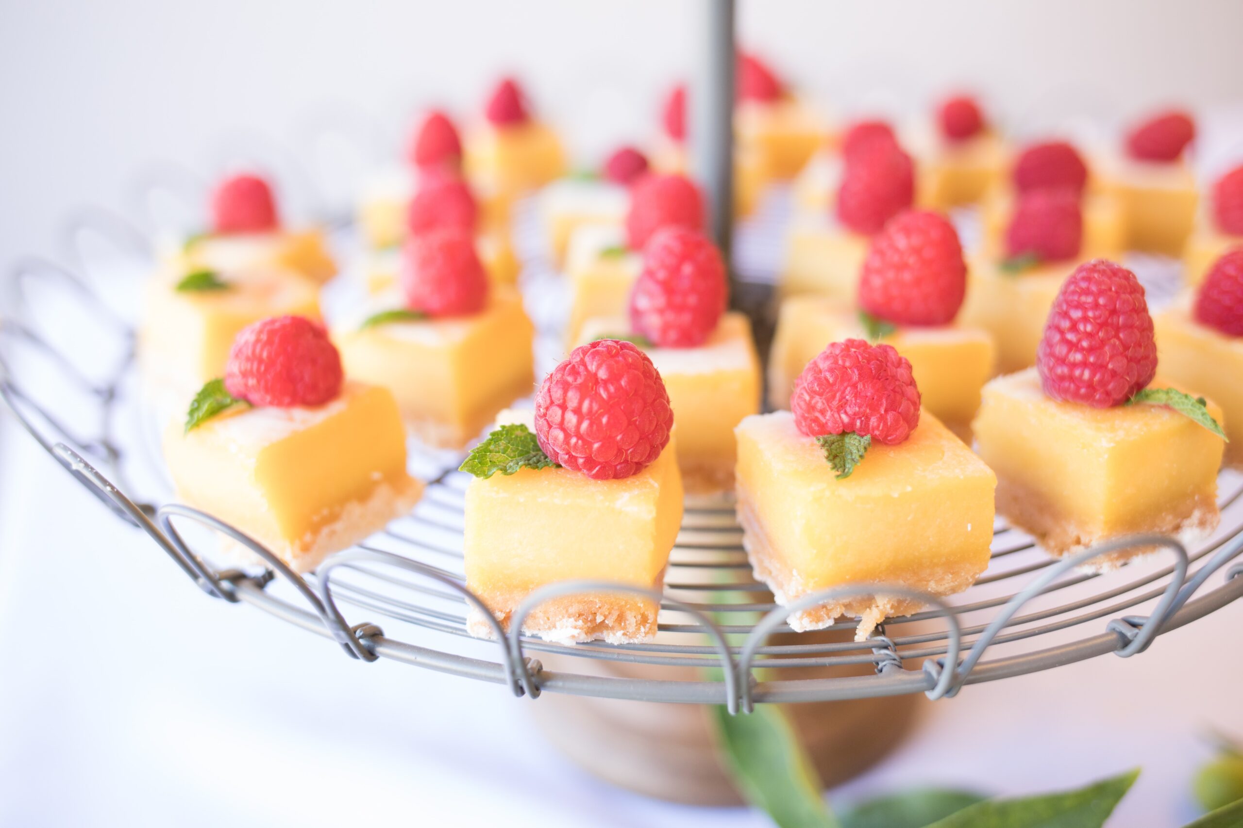 Dalexia Catering (23)